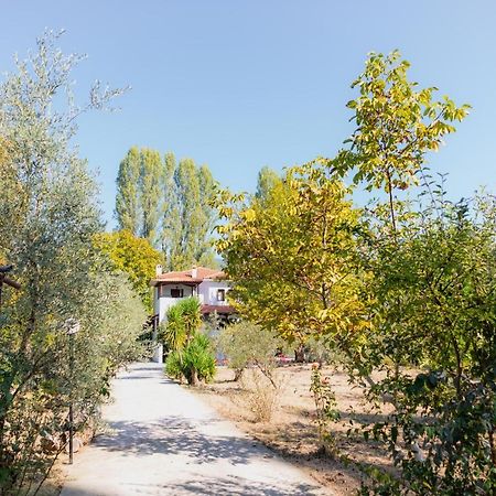 Diamond Farm Villa Kala Nera Exterior photo