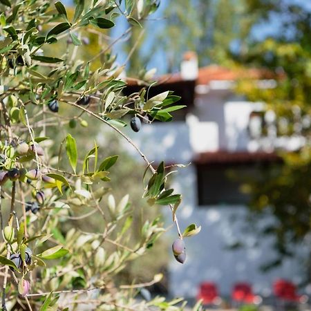 Diamond Farm Villa Kala Nera Exterior photo