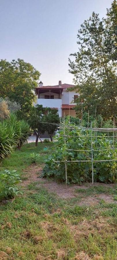 Diamond Farm Villa Kala Nera Exterior photo