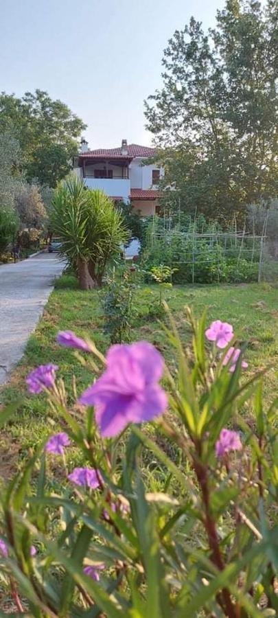 Diamond Farm Villa Kala Nera Exterior photo