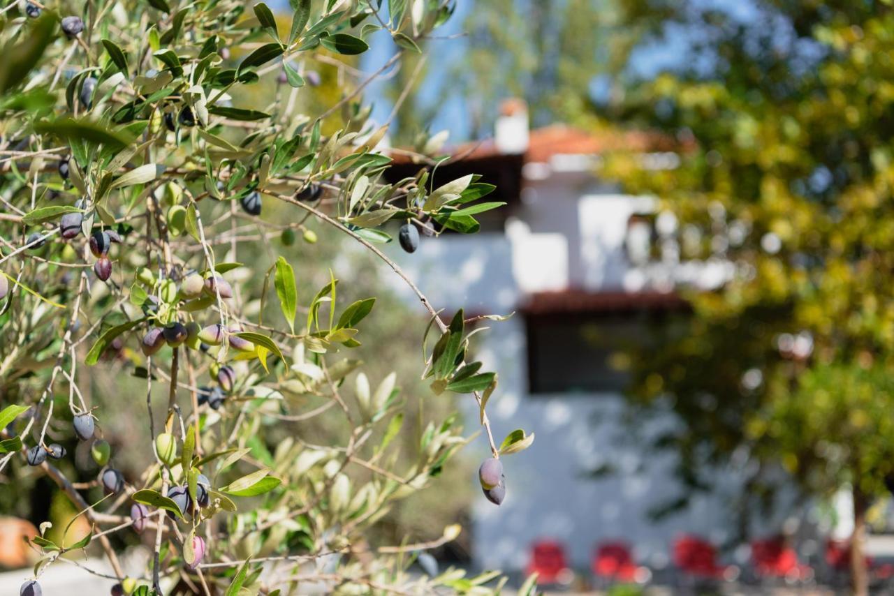 Diamond Farm Villa Kala Nera Exterior photo